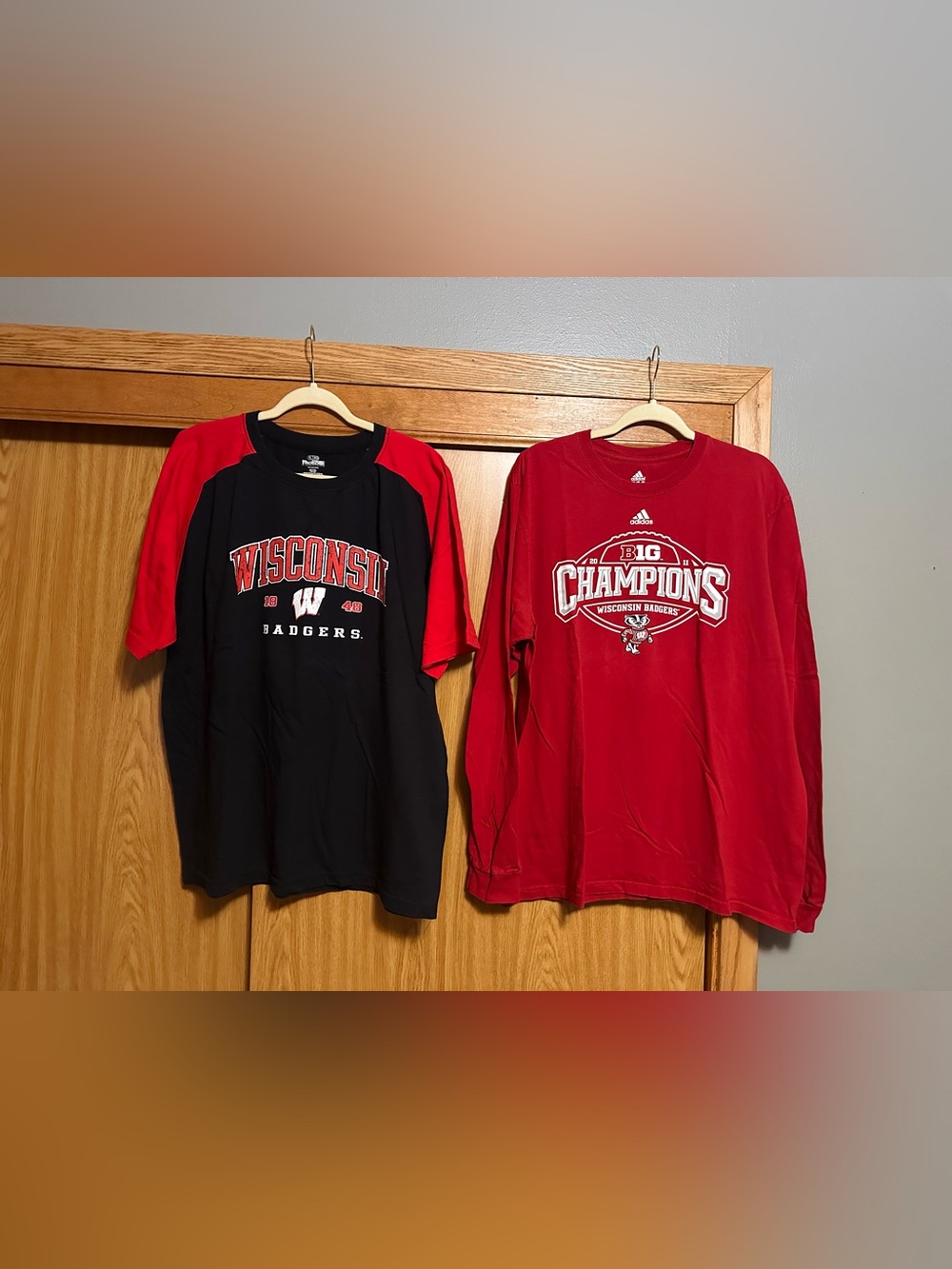 Men’s Wisconsin Badgers shirt lot